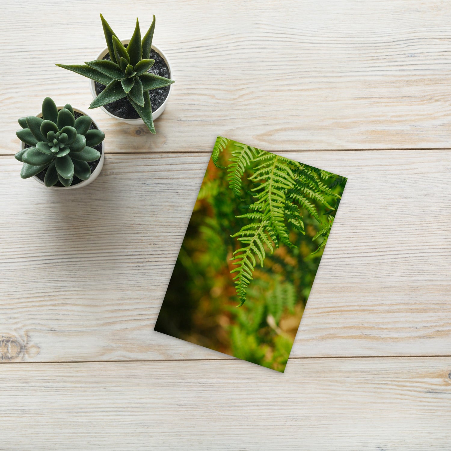 Postcards